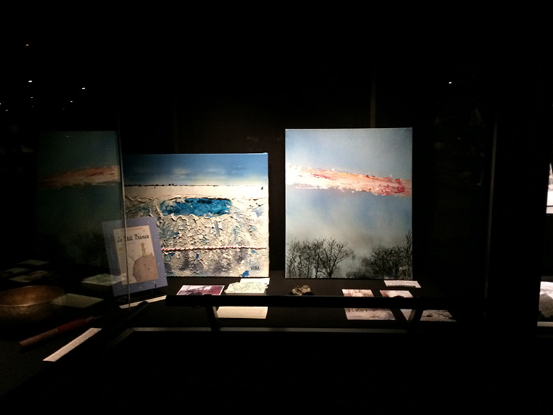 Jussieu - Photo 5